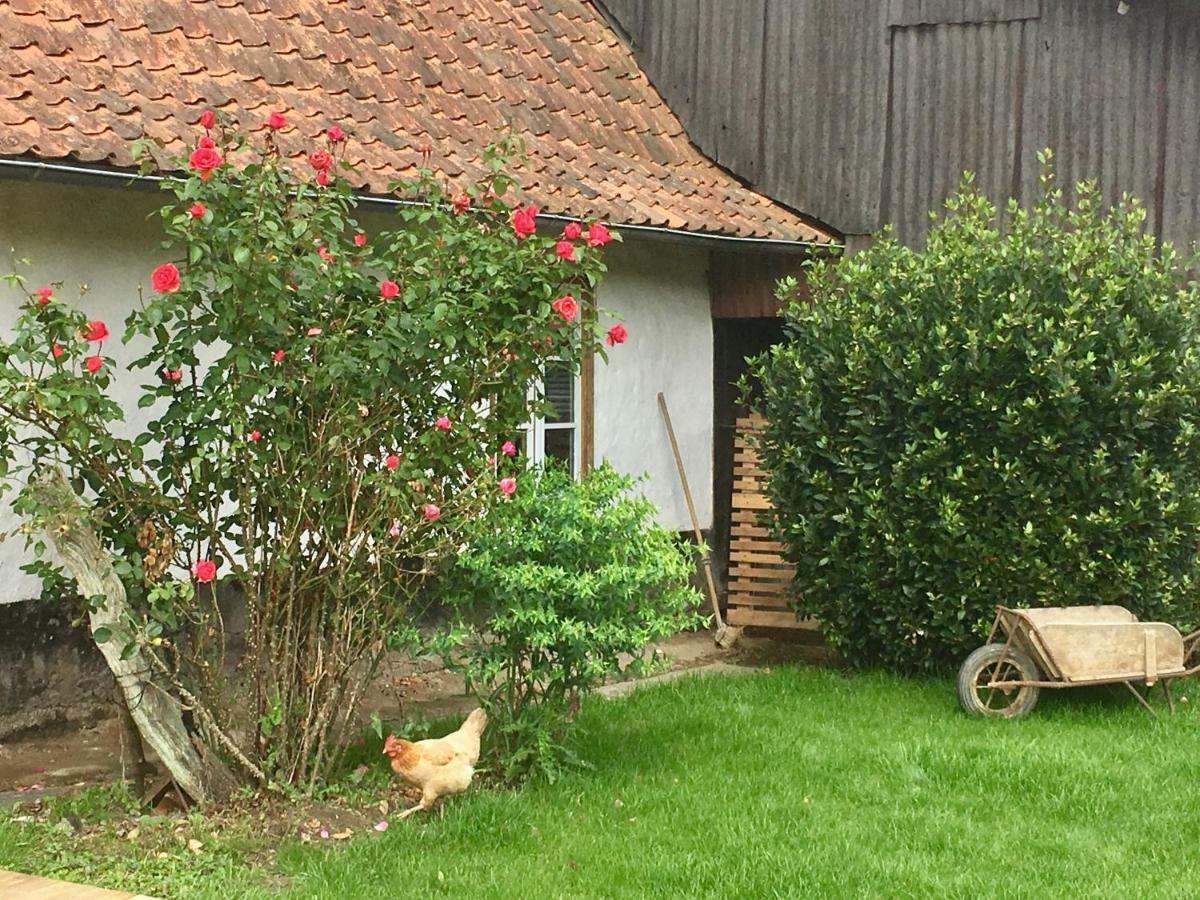 Fressin La Fermette De Jules旅馆 外观 照片